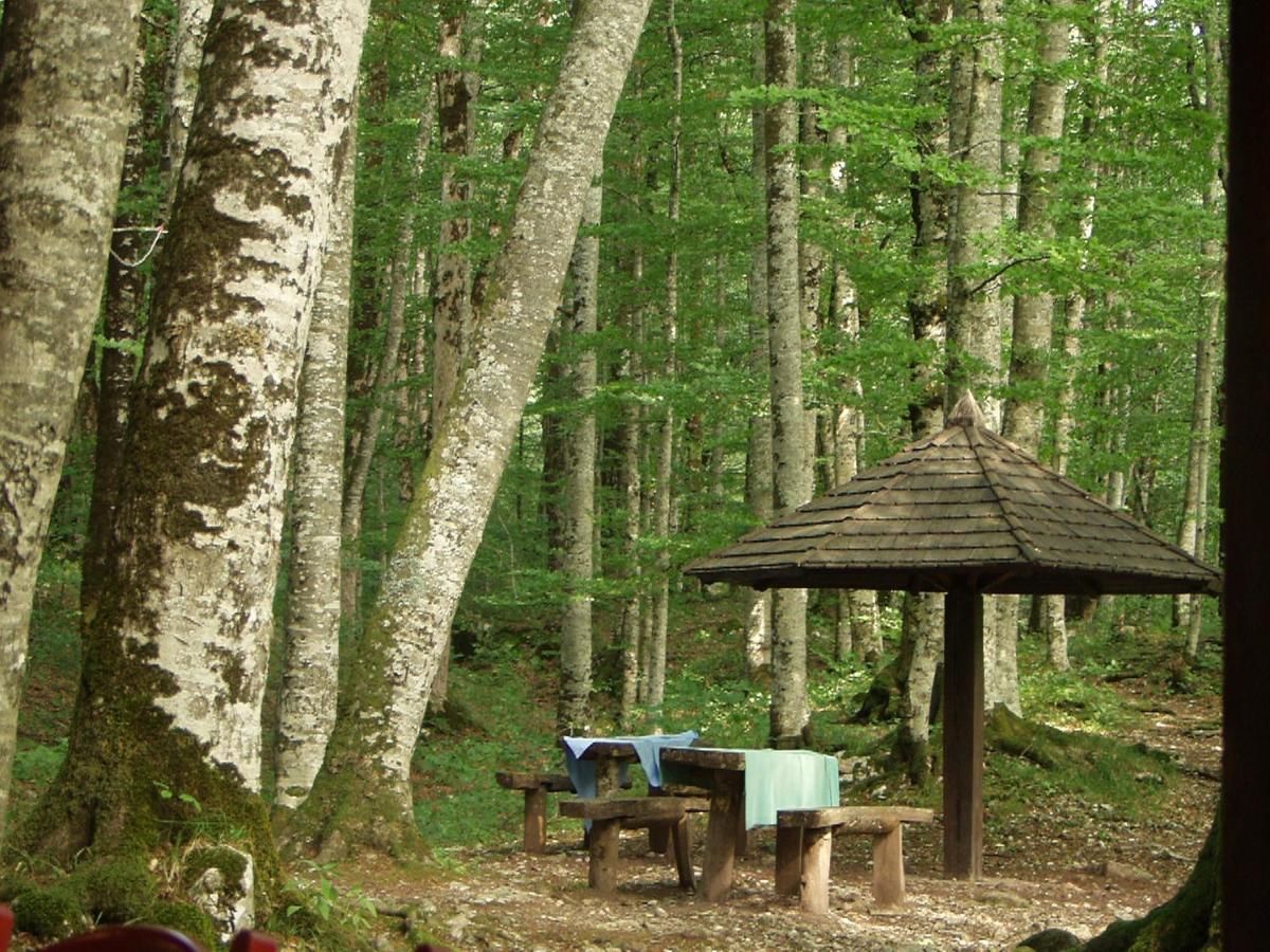 Загородные дома Country House Eco village Ćorić Мойковац-16