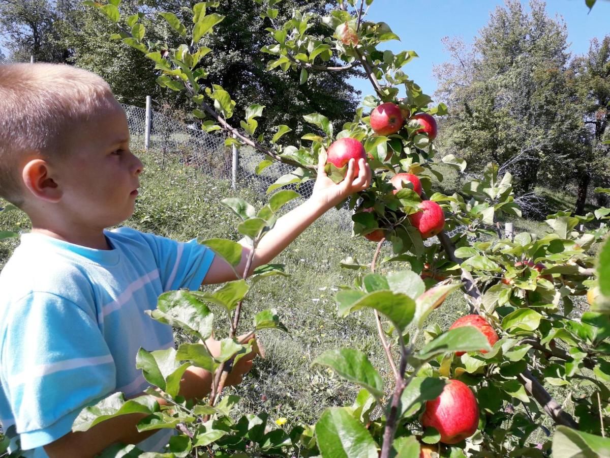 Загородные дома Country House Eco village Ćorić Мойковац-19