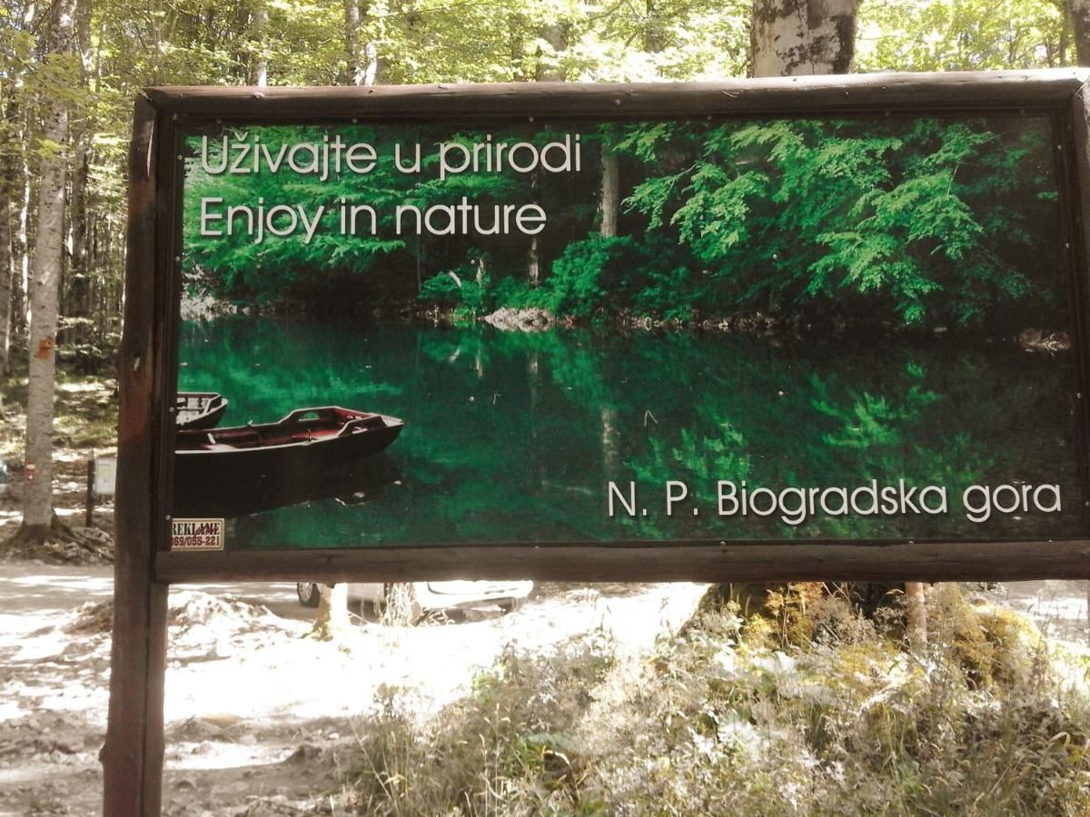 Загородные дома Country House Eco village Ćorić Мойковац-32