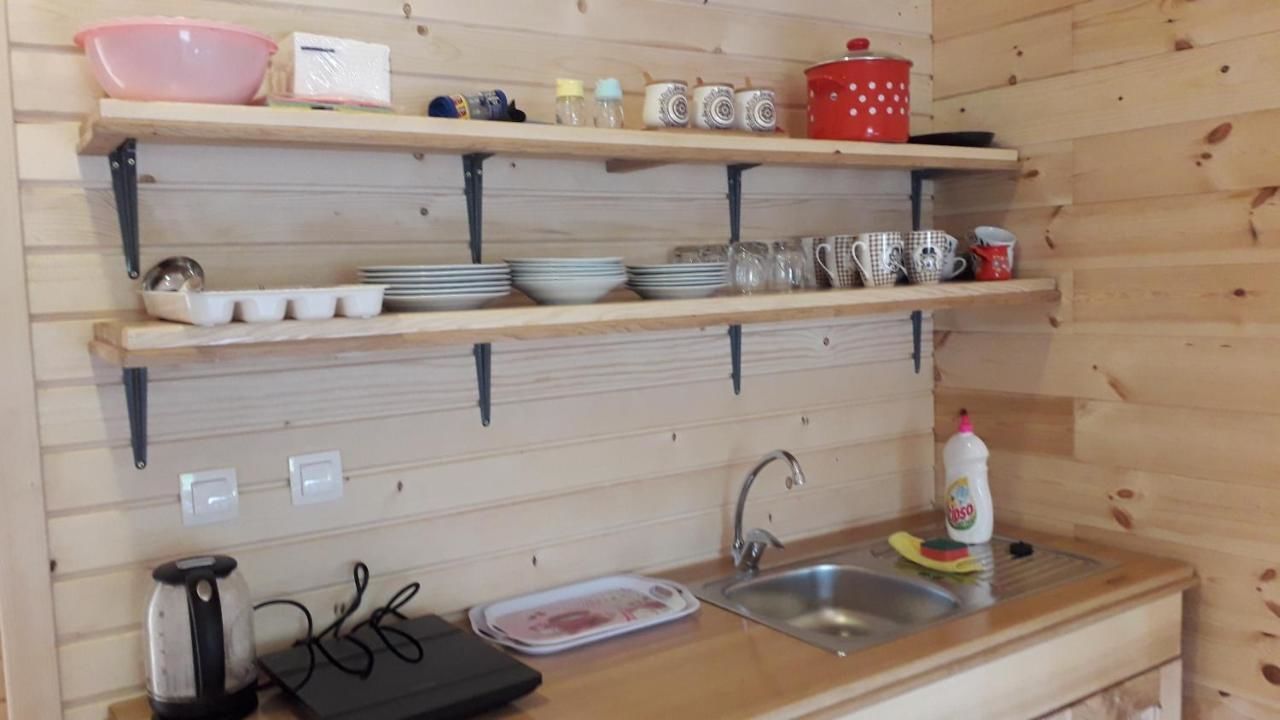 Загородные дома Country House Eco village Ćorić Мойковац-38