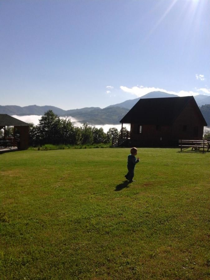 Загородные дома Country House Eco village Ćorić Мойковац-9