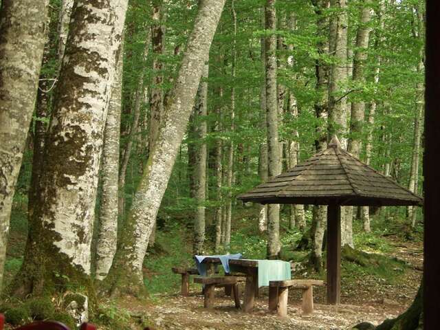 Загородные дома Country House Eco village Ćorić Мойковац-15