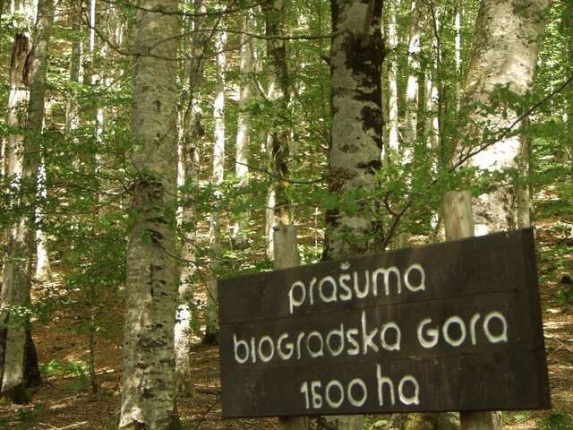Загородные дома Country House Eco village Ćorić Мойковац-26