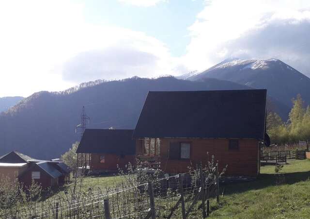 Загородные дома Country House Eco village Ćorić Мойковац-44